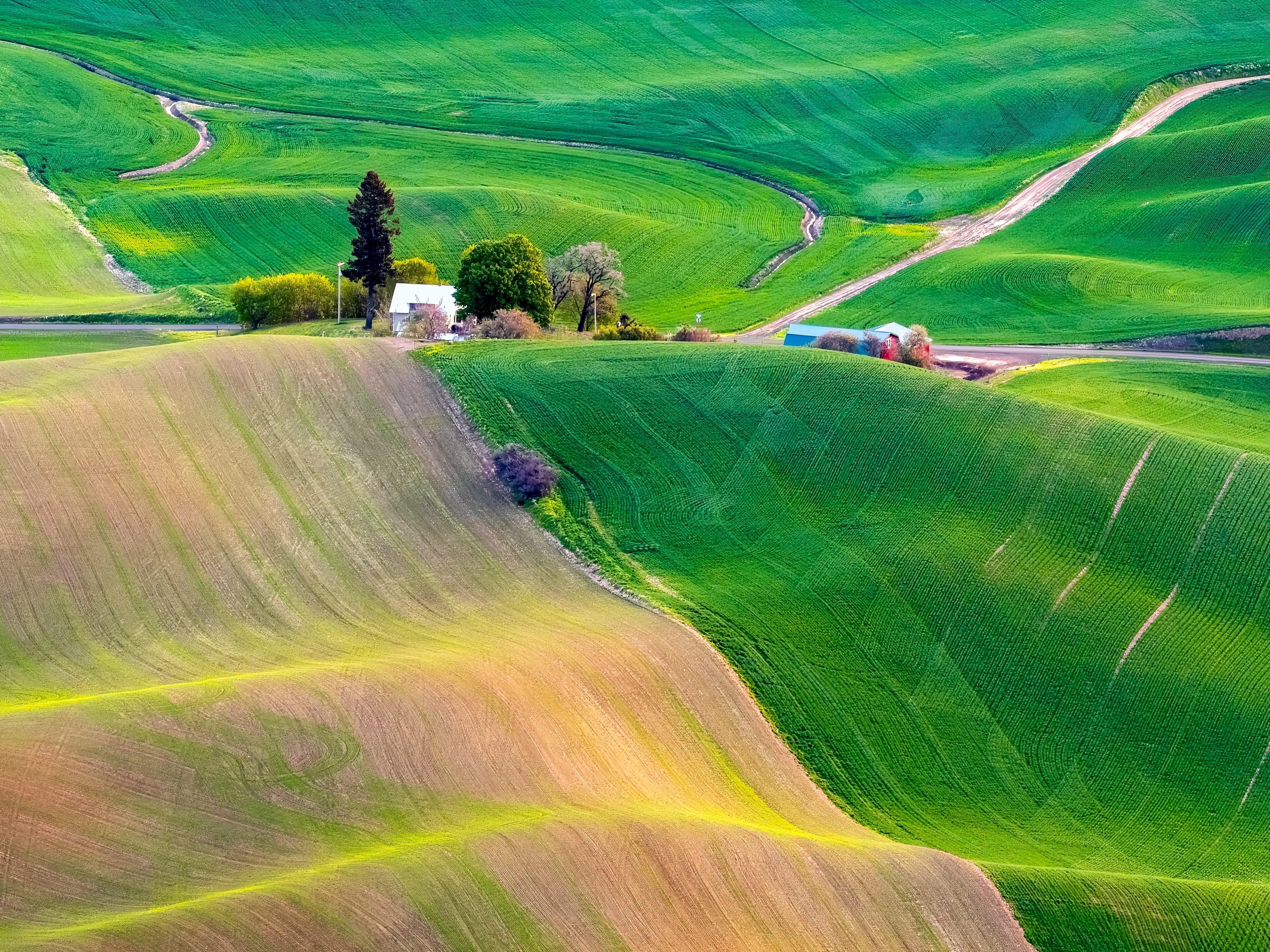 Winding road through patchwork green fields and rolling hills in the Palouse — Landscapes collection